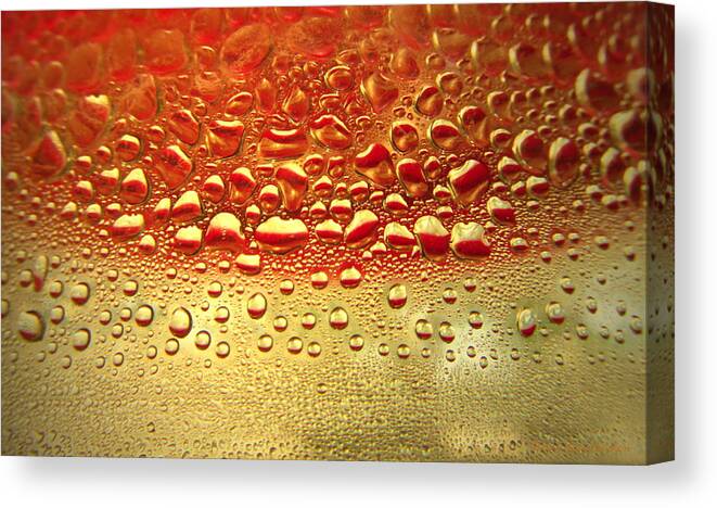 Top-artist Canvas Print featuring the photograph Dew Drops The Original 2013 by Joyce Dickens