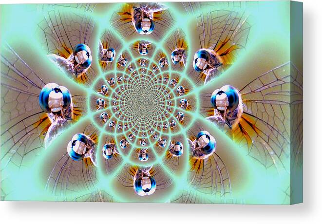 Dragonfly Canvas Print featuring the photograph Dragonfly Kaleidoscope by Sheri McLeroy