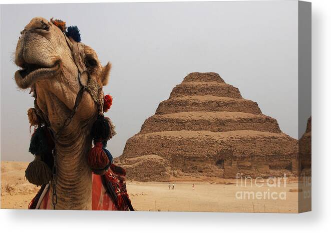 Egypt Canvas Print featuring the photograph Egypt Step Pyramid Saqqara by Bob Christopher