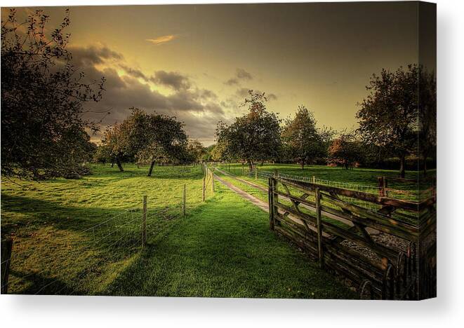 Tranquility Canvas Print featuring the photograph English Countryside by A Goncalves