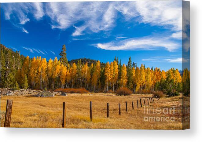 Landscape Canvas Print featuring the photograph Faithful Fall by Charles Garcia