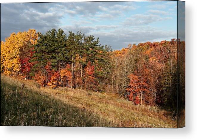 Cuyahoga Valley National Park Canvas Print featuring the photograph Fall in the Valley by Daniel Behm
