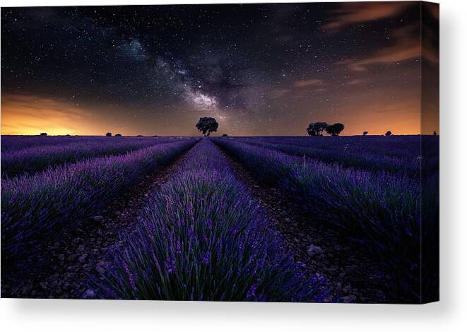 Spain Canvas Print featuring the photograph Fields Of Castilla by Jorge Ruiz Dueso