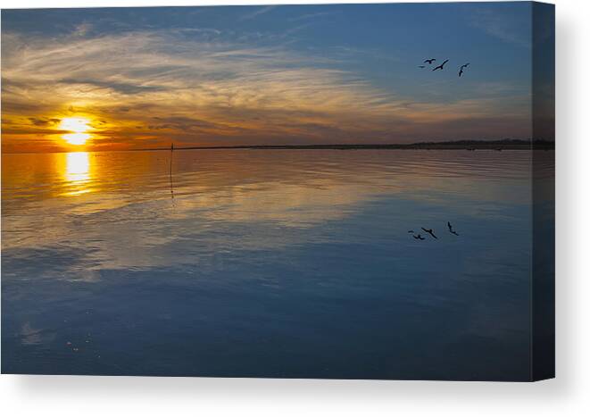 Sunset Canvas Print featuring the photograph Final Flight by Cathy Kovarik