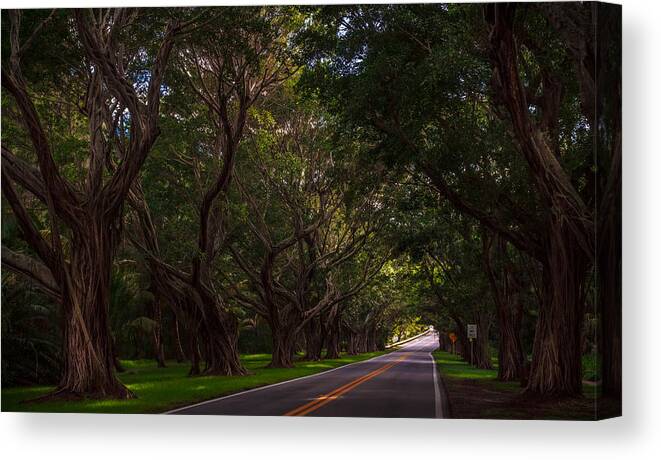 Florida Canvas Print featuring the photograph Going Home by Christopher Perez