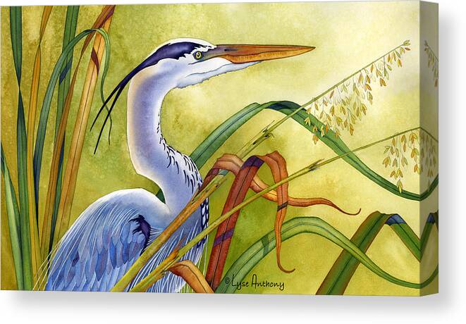 Watercolor Canvas Print featuring the painting Great Blue Heron by Lyse Anthony