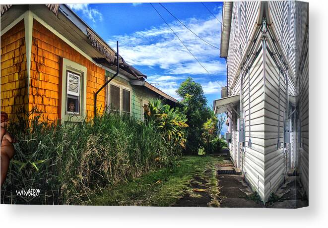 Hawaii Canvas Print featuring the digital art Hiding in Hawaii by Bob Winberry