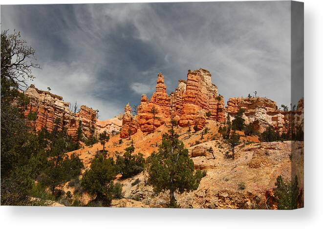 Bryce Canvas Print featuring the photograph Hoodoos at Mossey Creek Trail by Jean Clark
