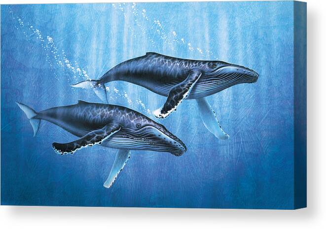 Jon Q Wright Canvas Print featuring the painting Humpback Whales by JQ Licensing