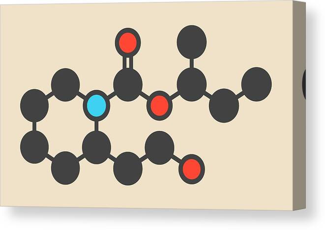 Icaridin Canvas Print featuring the photograph Icaridin Insect Repellent Molecule by Molekuul