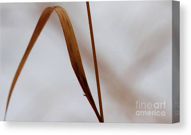 Abstract Canvas Print featuring the photograph Life's Journey by Linda Shafer