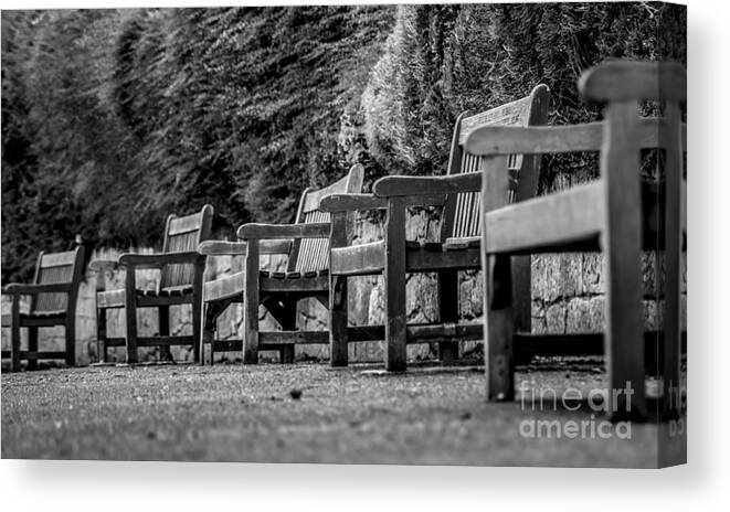Nature Canvas Print featuring the photograph Lonely bench by Florin-Viorel Filip