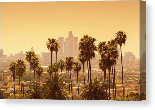 Beverly Hills Canvas Print featuring the photograph Los Angeles With Palm Trees In by Lpettet