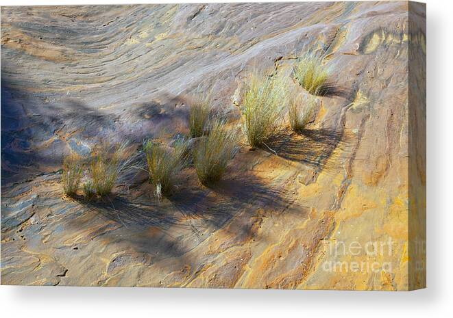Palm Valley Central Australia Landscape Outback Australian Canvas Print featuring the photograph Palm Valley Rock Textures by Bill Robinson
