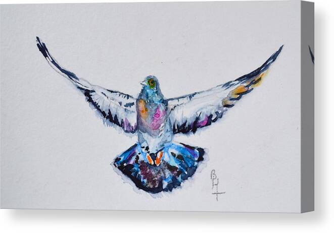 Pigeon In Flight Canvas Print featuring the painting Pigeon In Flight by Beverley Harper Tinsley