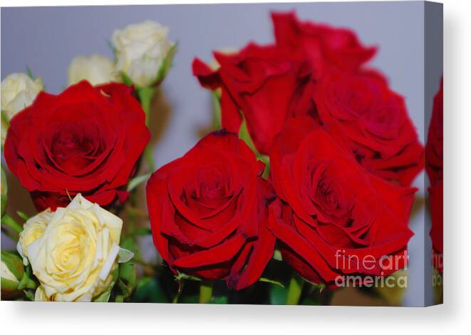Red And Yellow Roses Canvas Print featuring the photograph Red and Yellow Roses by Oksana Semenchenko