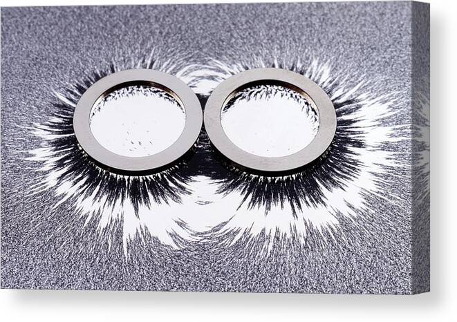 Magnetic Field Canvas Print featuring the photograph Ring Magnets And Magnetic Field Pattern by Lawrence Lawry/science Photo Library