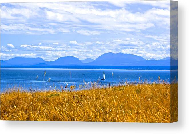  Canvas Print featuring the photograph Salish Sea from Hornby Island by Brian Sereda