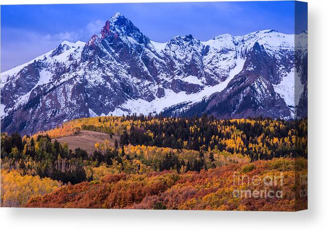 Rocky Mountains Canvas Print featuring the photograph Sneffels Range Autumn Sunrise - Dallas Divide - Colorado by Gary Whitton