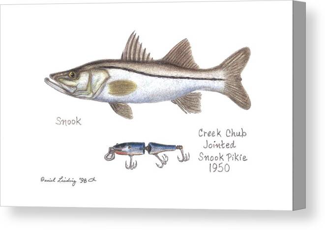 Snook and Jointed Snook Pikie Lure 1950 Canvas Print / Canvas Art by Daniel  Lindvig - Pixels Canvas Prints