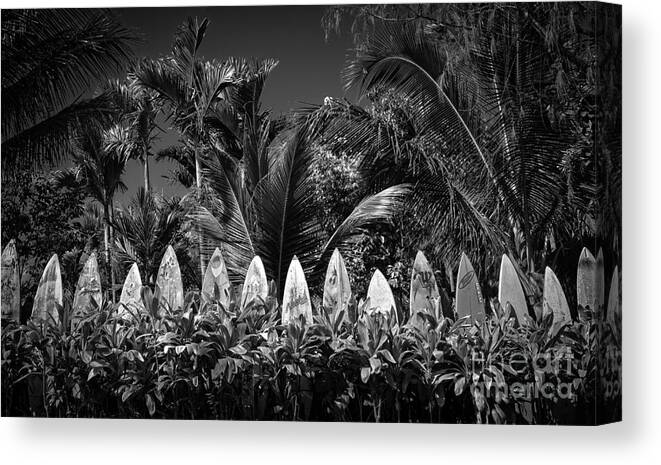 Surfboard Canvas Print featuring the photograph Surf Board Fence Maui Hawaii Black and White by Edward Fielding