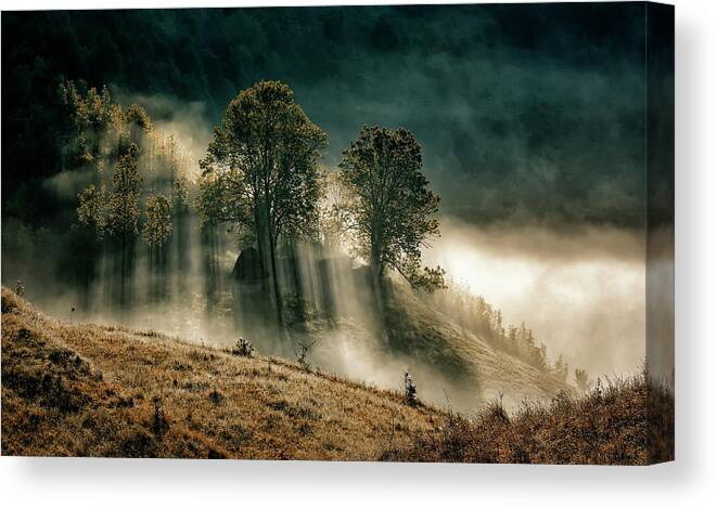 Landscape Canvas Print featuring the photograph The Struggle Between Darkness And Light by Grigore Roibu