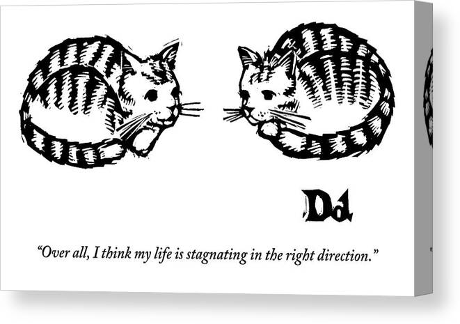 Cat Canvas Print featuring the drawing Two Cats Are Sitting Next To Each Other by Drew Dernavich
