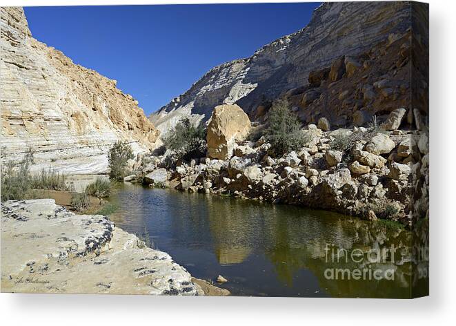 Water Canvas Print featuring the photograph Water in the desert by Arik Baltinester
