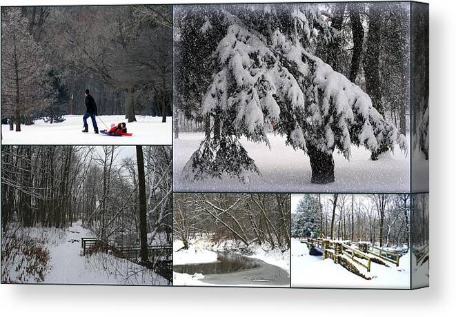 Wisconsin Canvas Print featuring the photograph Winter At Petrifying Springs Park by Kay Novy