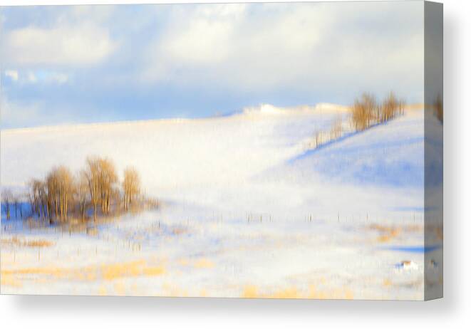 Winter Canvas Print featuring the photograph Winter Poplars by Theresa Tahara
