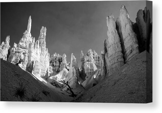 Landscape Canvas Print featuring the photograph Bryce Canyon Infrared #1 by Mike Irwin
