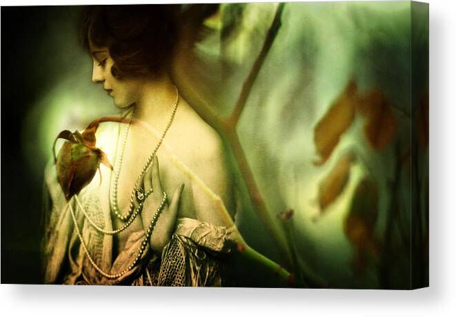 Woman Canvas Print featuring the photograph A Rose in Winter by Rebecca Sherman