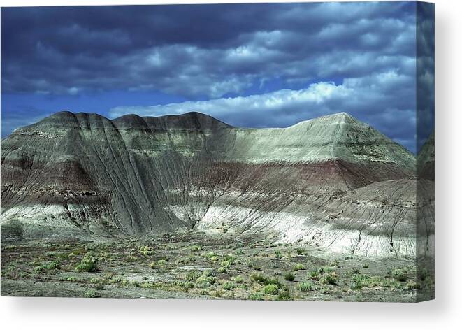 Arizona Canvas Print featuring the photograph Arizona Mountains by Renee Hardison
