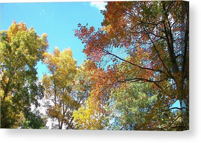Nature Canvas Print featuring the photograph Autumn's Vibrant Image by Pamela Hyde Wilson