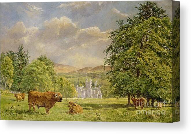 Landscape; Highland Cattle; Angus; Cow; Royal Residence;scottish Baronial; Horn; Horns Park; Bulls; Bull; Balmoral Castle; Balmoral; Hill; Hills; Tree; Trees; Grass; Green; Scottish Canvas Print featuring the painting Bulls at Balmoral by Tim Scott Bolton