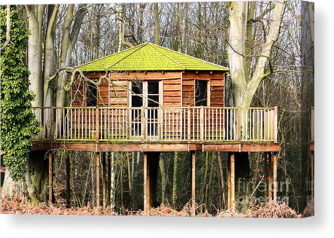 Treehouse Canvas Print featuring the photograph Luxury tree house in the woods by Simon Bratt