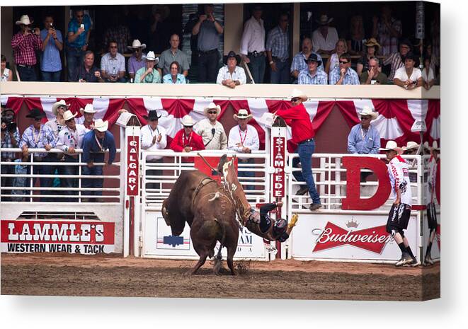 Cowboy Canvas Print featuring the pyrography This Is Gonna Hurt by Darren Langlois