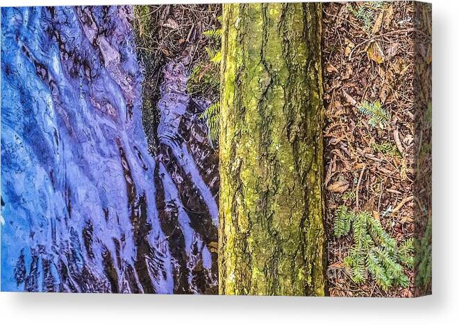 Lake Canvas Print featuring the photograph Lakeside #2 by William Wyckoff