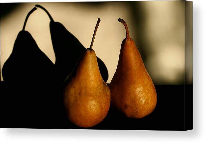 Still Life Canvas Print featuring the photograph The Kiss #1 by Steve Augustin