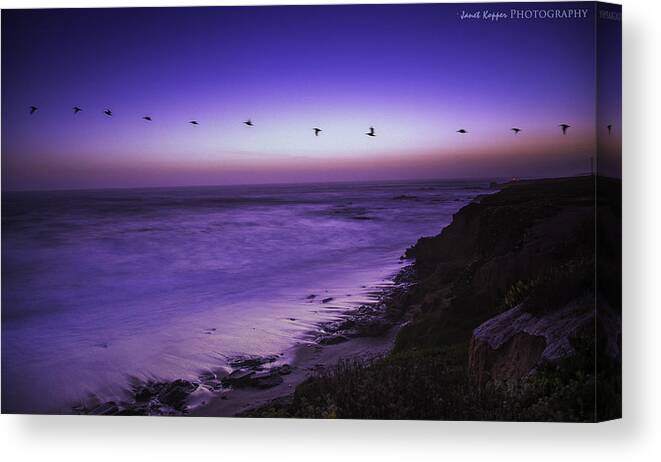 Birds Canvas Print featuring the photograph Against the Wind by Janet Kopper