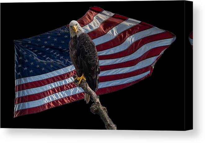Eagle Canvas Print featuring the photograph America's Eagle by Holden The Moment