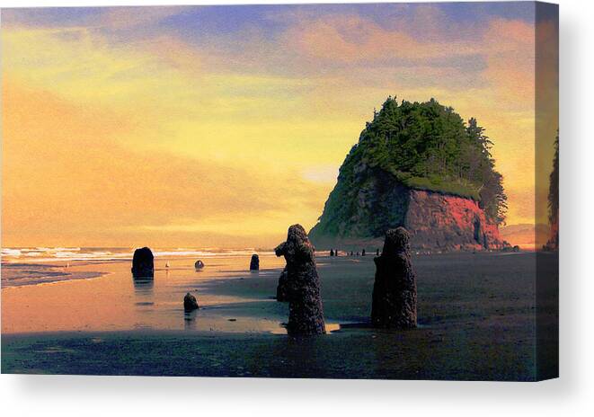 Neskowin Beach Canvas Print featuring the photograph Ancient Trees at Neskowin Beach by Margaret Hood