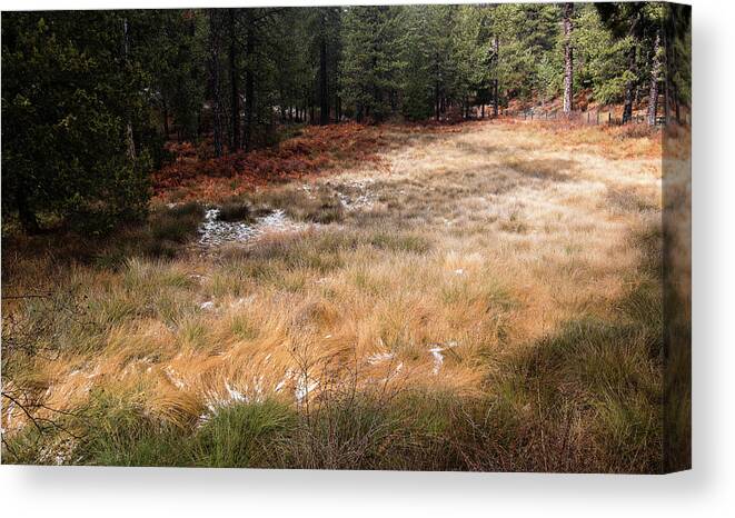 Valley Canvas Print featuring the photograph Autumn forest landscape by Michalakis Ppalis