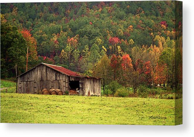 Barn Canvas Print featuring the photograph Barn North Carolina 1994 by Michelle Constantine