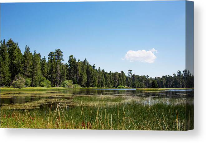 Landscape Canvas Print featuring the photograph Bluff Lake CA 3 by Chris Brannen