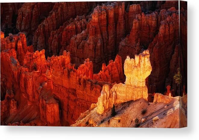Bryce Canyon Scenic Canvas Print featuring the photograph Bryce Canyon Sunrise by Bob Coates