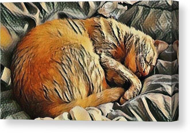 Cat Canvas Print featuring the mixed media Buddy the Cat Napping Art Print by Stacie Siemsen