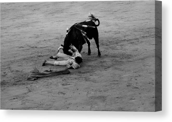 Bullfighting Canvas Print featuring the photograph Bullfighting 34b by Andrew Fare