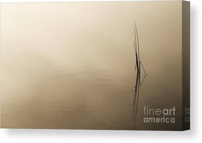 Marcia Lee Jones Canvas Print featuring the photograph Calm Waters by Marcia Lee Jones