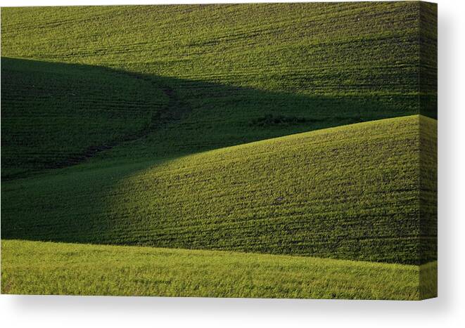 Rolling Canvas Print featuring the digital art Cloud shadows on new growing crop by Mark Duffy